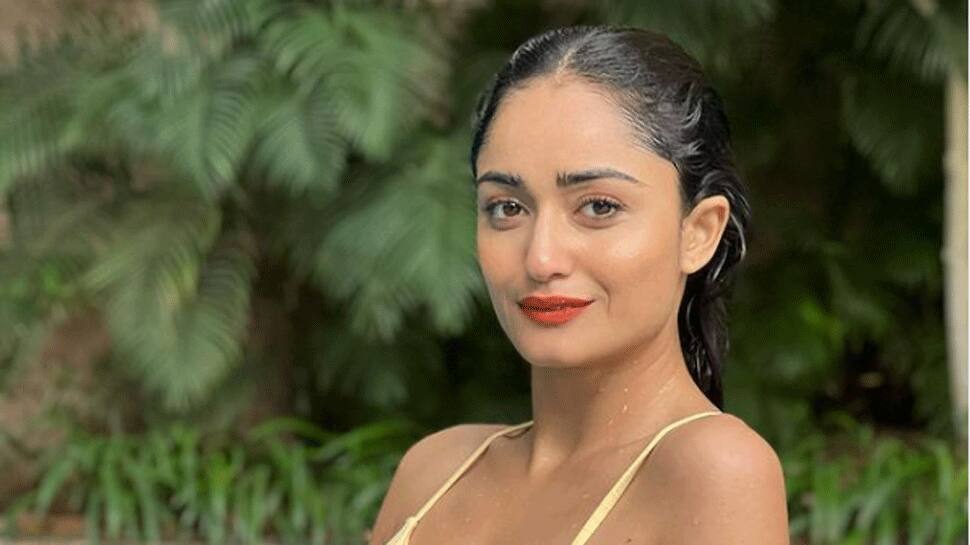 Tridha Choudhury Bikini Photos Aashram Actress Tridha Choudhury My Xxx Hot Girl