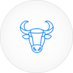   Taurus 