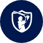 Delhi Capitals