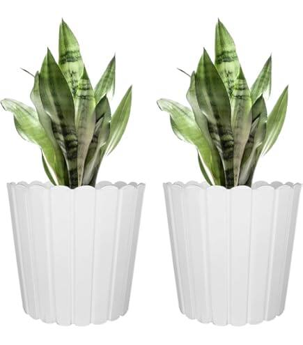 Garden’s Need Eco-Friendly Thai Planters Garden’s Need Eco-Friendly Thai Planters