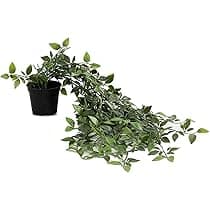 Home Centre Green Artificial Flowers and Plants Home Centre Green Artificial Flowers and Plants