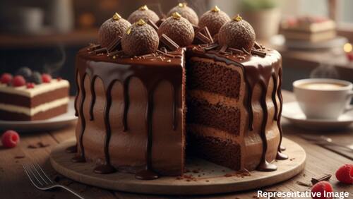 Chocolate Truffle Cake