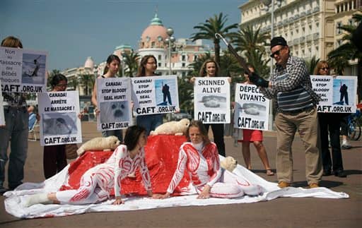 French animal rights activists protest about seal hunting on La promenade des Anglais in Nice. Protesters hold posters of baby seals killed for their fur.