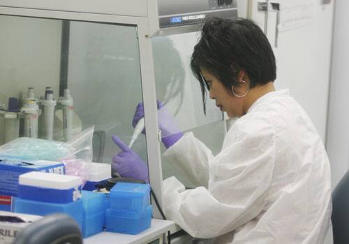 San Diego County micro-biologist Anna Liza Manlutac tests for the influenza virus at the San Diego County Public Health lab in San Diego Sunday, April, 26, 2009.