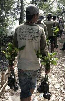 Workers carry mangrove trees to be planted at a conservation garden in Jakarta to mark Earth Day A. The words on the T-shirt read We destroy the Earth, the Earth destroys us. We love the Earth, the Earth loves us.