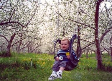 Swings form an integral part of the joys of Spring.