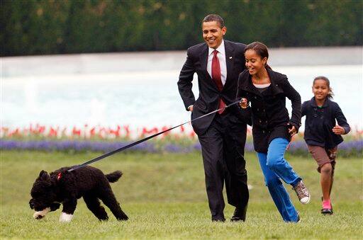 President Barack Obama watches as Malia shows off their new dog Bo, a 6-month-old Portuguese water dog.