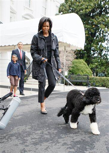 First lady Michelle Obama walks with their 6-month-old Portuguese water dog Bo as President Barack Obama and daughter Sasha follows at the White House 