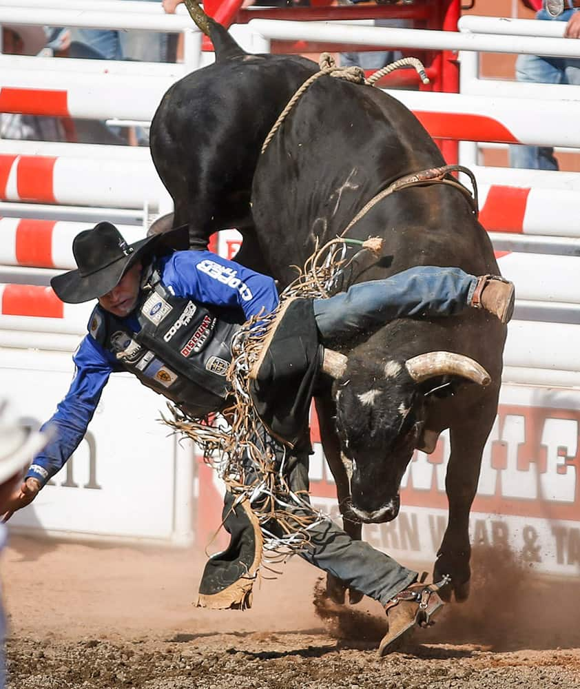 Joao Ricardo Vieira, from Itatinga, Brazil, gets bucked off South Fork in the bull riding event during finals rodeo action at the Calgary Stampede in Calgary, Alberta.