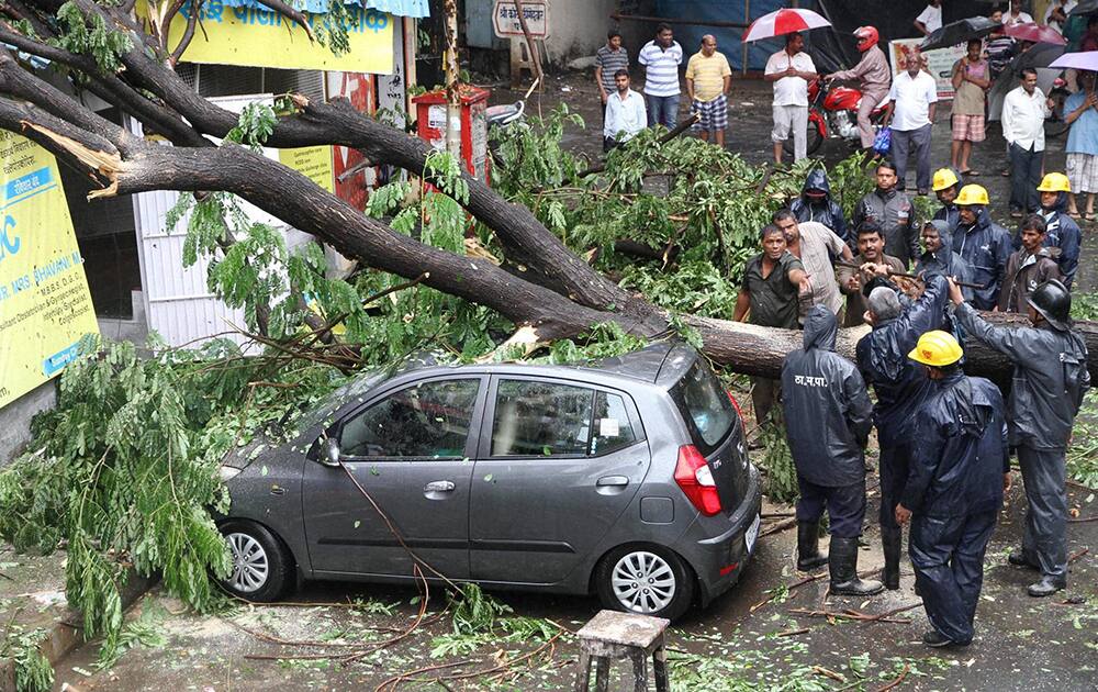 A tree falls on a car in Thane, Mumbai.