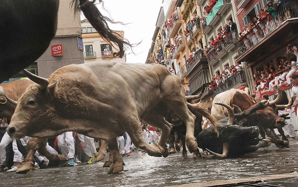 Revelers run as Fuente Ymbro fighting bulls fall during the running of the bulls at the San Fermin festival, in Pamplona, Spain