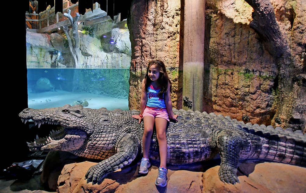 A girl poses for a photograph as she visits `King Croc,` a saltwater crocodile and his female companion of 20 years now residing in a special enclosure at Dubai Aquarium & Underwater Zoo, in Dubai, United Arab Emirates.