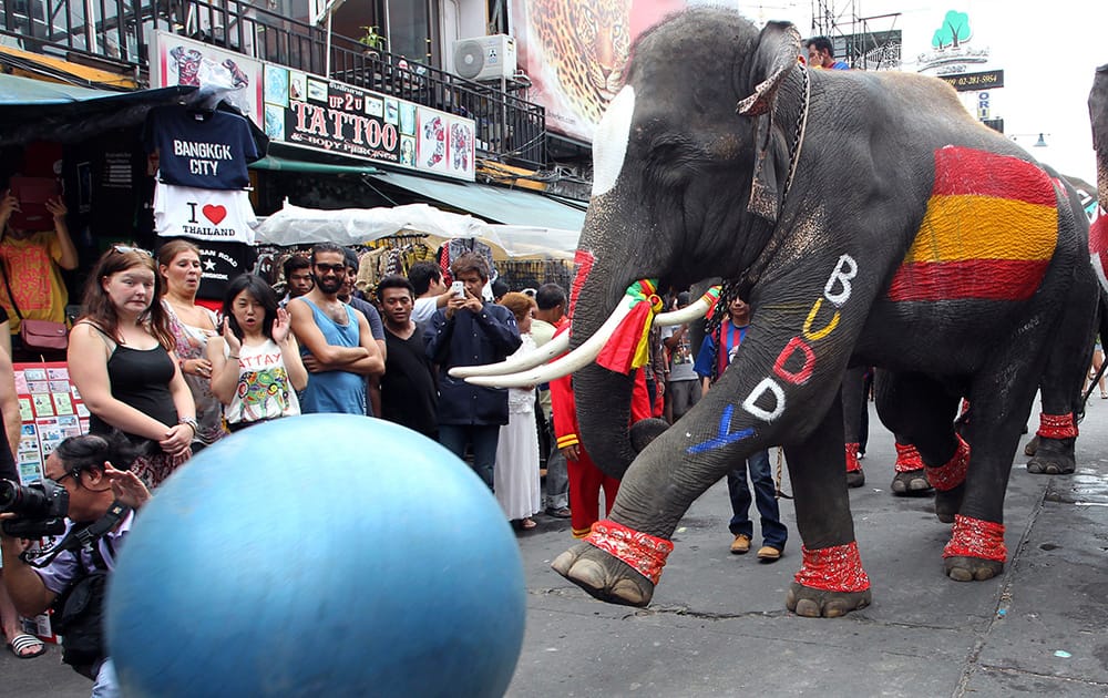 An elephant kicks a ball during an event to celebrate the opening of the World Cup soccer tournament in Brazil at a popular tourist destination in Bangkok, Thailand .