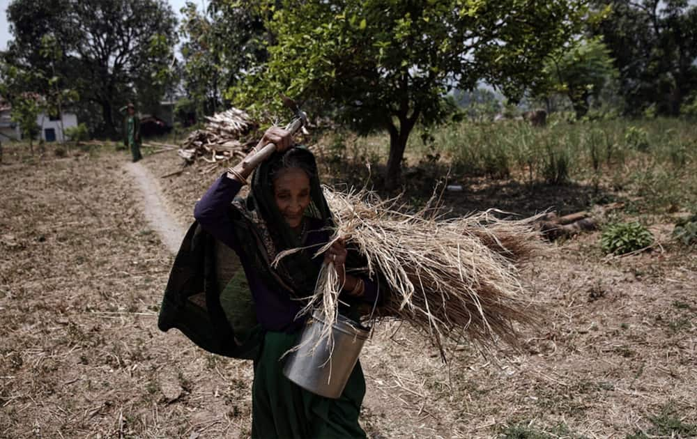 Collection and processing of medicinal plants provides 35 million workdays annually to the poor. However, rising demand and destructive harvesting practices are not only threatening the survival of many species, but also the livelihood of the people who depend upon the produce. An estimated 316 species in India are under threat of extinction. Pic Courtesy- UNDP 