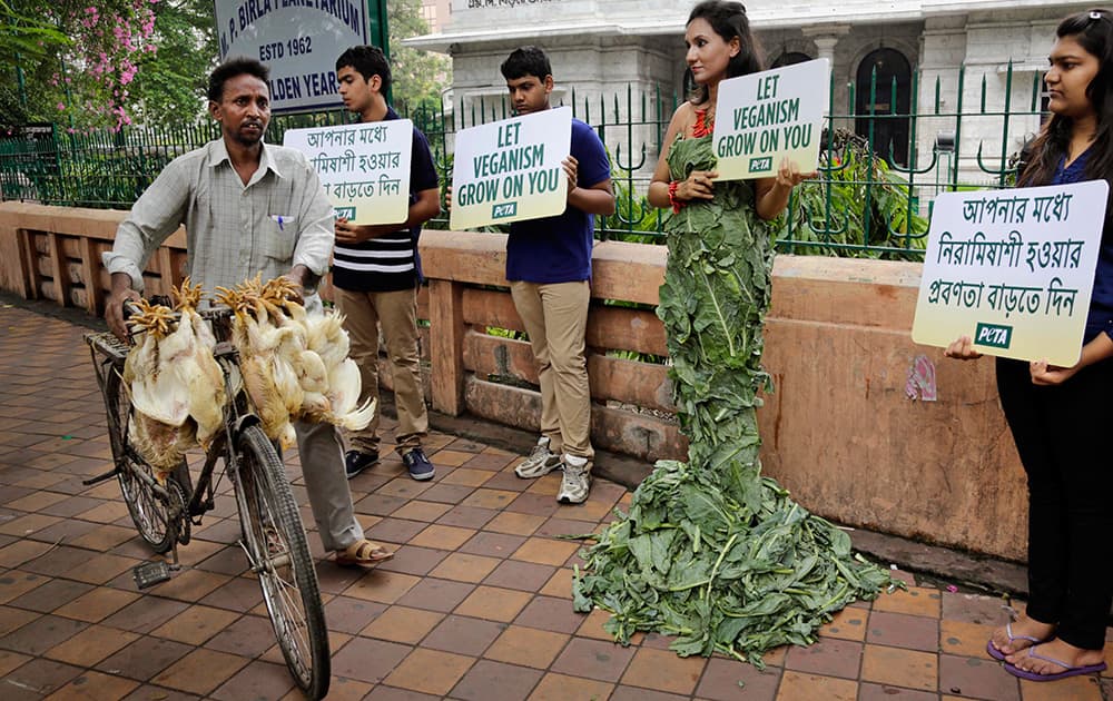 A chicken vendor with his birds walks past a People for the Ethical Treatment of Animals (PETA) activist wearing a gown made of lettuce leaves during a vegetarianism campaign in Kolkata.