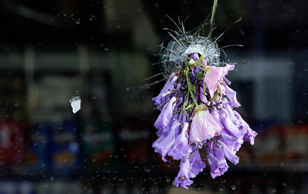 Flowers are placed through a bullet hole on a window of IV Deli Mart, where part of Friday night`s mass shooting took place by a drive-by shooter, in Isla Vista, Calif.