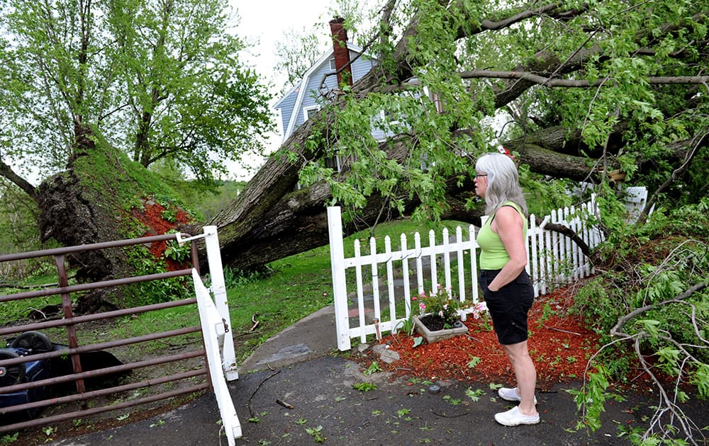 Homeowner Darlene Pettit looks over a tree that fell in the wake of a storm in Duanesburg, N.Y.