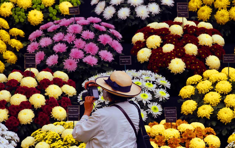 A visitor takes a photograph of flowers at the Chelsea Flower Show in London