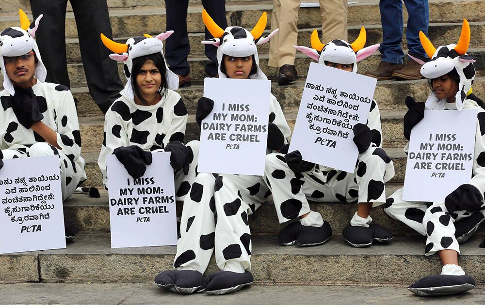 Children dressed as cows hold placards during a demonstration organized by People for the Ethical Treatment of Animals (PETA) in Bangalore. The demonstration was held ahead of Mothers Day to protest against dairy farms that forcibly impregnate cows and then separate their newborn calves in order to sell their milk, according to a press release.