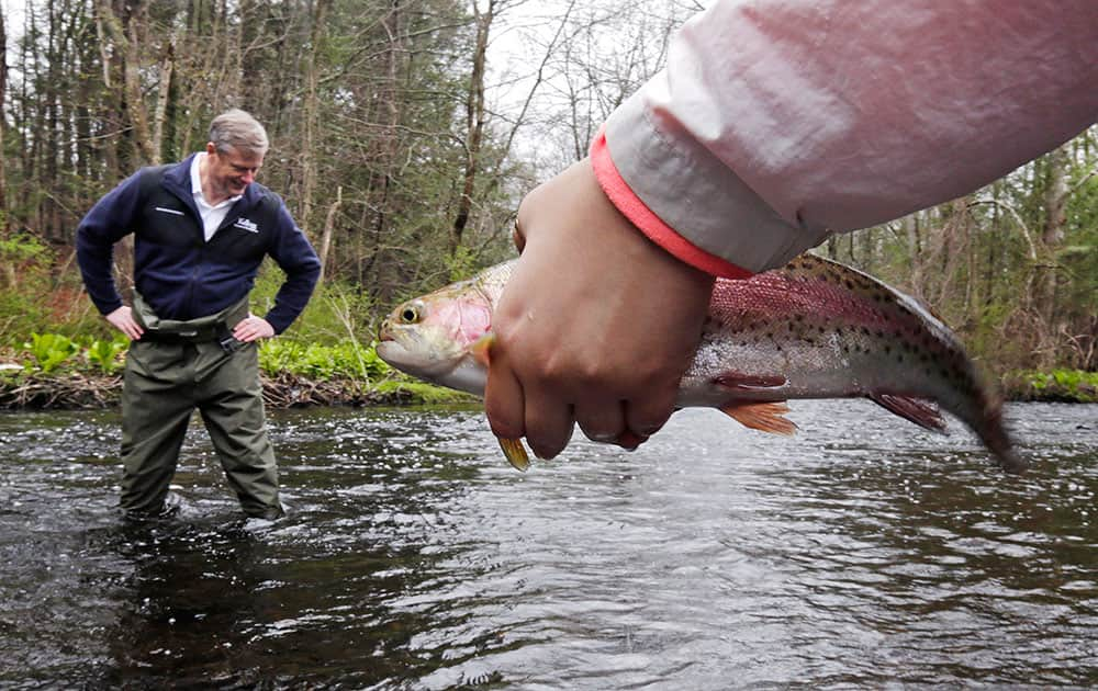 Massachusetts Republican gubernatorial hopeful Charlie Baker looks down into the Assabet River as science students from Hudson High School release hatchery-raised trout, in Northborough, Mass.