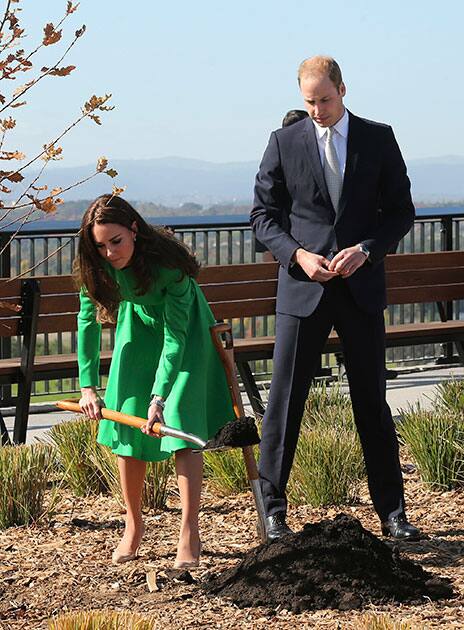 Britain`s Prince William watches as his wife Kate, the Duchess of Cambridge, shovel dirt to plant an oak tree at the National Arboretum in Canberra, Australia.