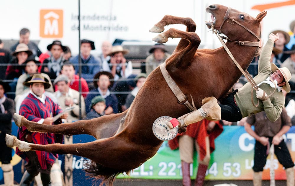 South American cowboy known as a gaucho, and the wild horse he rides on, fall during a rodeo organized as part of Holy Week celebrations in Montevideo, Uruguay.