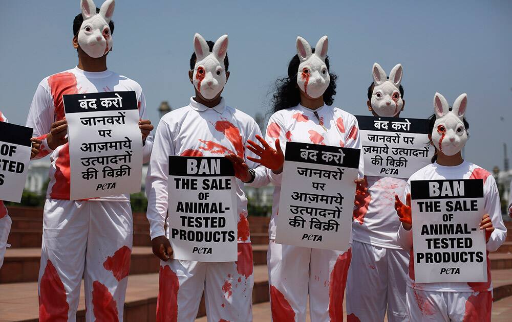 Activists from People for the Ethical Treatment of Animals (PETA) dressed as rabbits hold placards during a protest in New Delhi.