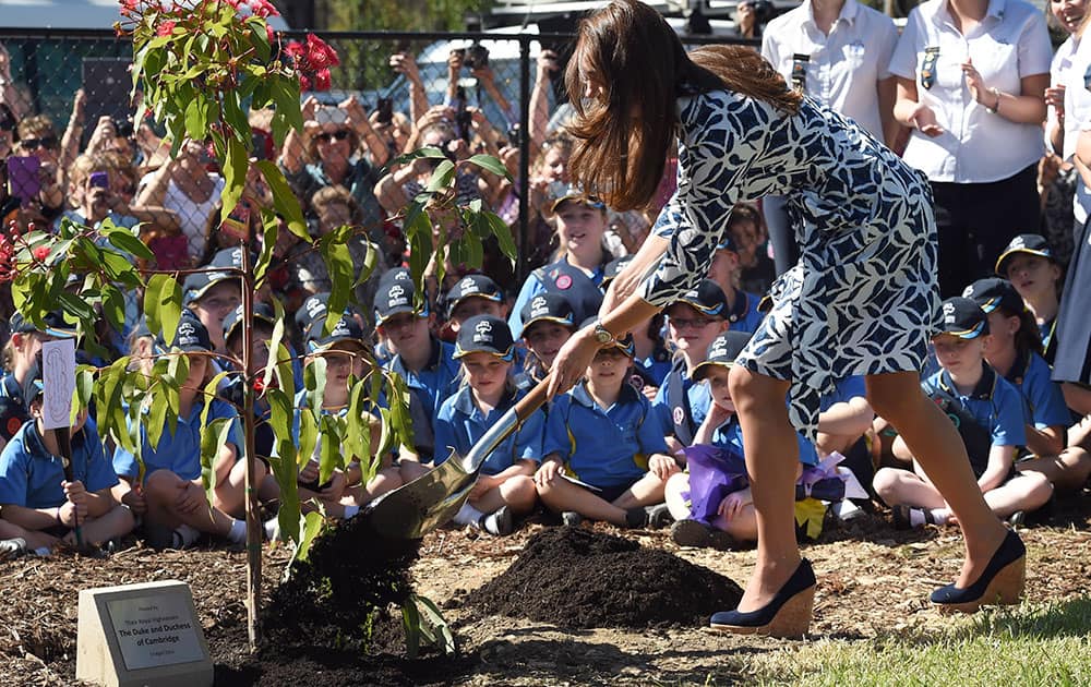Britain`s Kate, the Duchess of Cambridge, shovels dirt as she helps plant a tree at a Girl Guide hall at Winmalee, Australia.