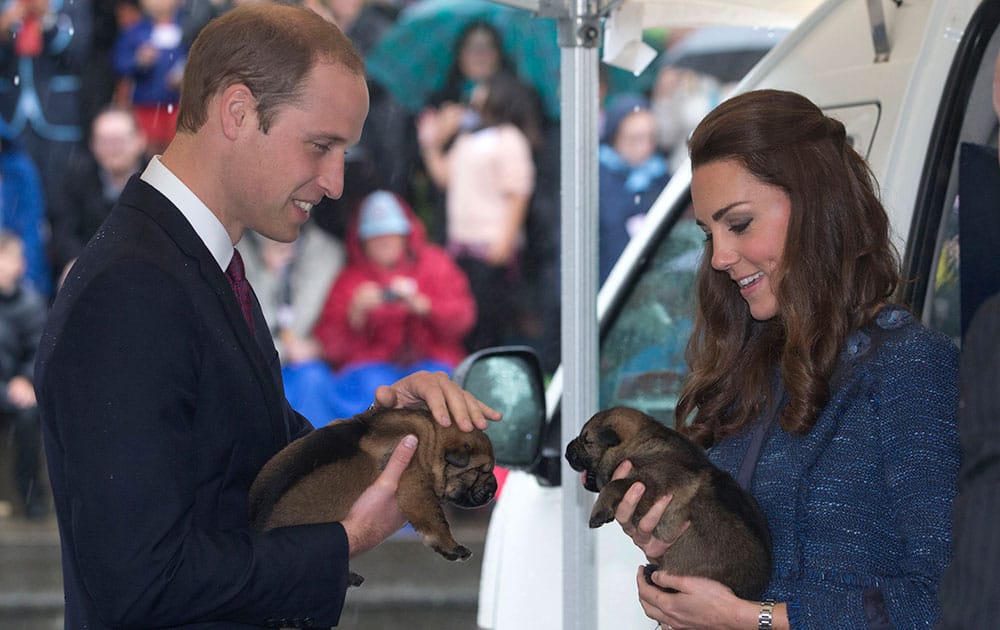 Britain`s Prince William and his wife Kate, the Duchess of Cambridge, hold puppies while visiting the Royal New Zealand Police College in Wellington, New Zealand. The royal couple are on the last day of their official visit to New Zealand before traveling to Australia with their son, Prince George.