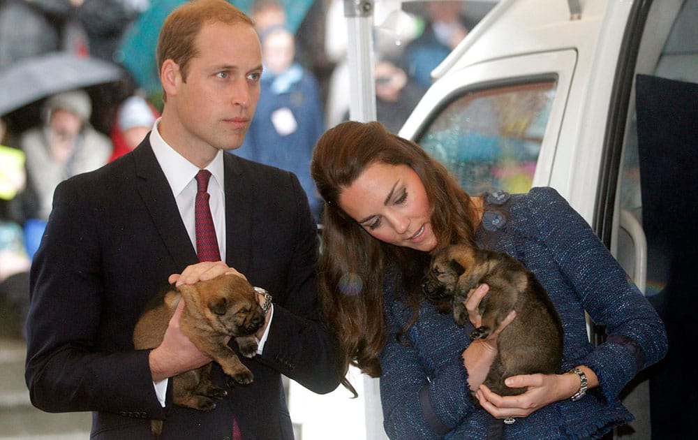 Britain`s Prince William and his wife Kate, the Duchess of Cambridge, hold puppies while visiting the Royal New Zealand Police College in Wellington, New Zealand.