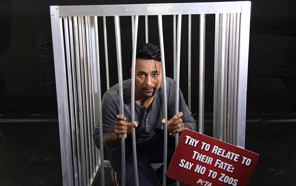 Indian cricket player Pragyan Ojha poses for photos inside a cage as part of a campaign against zoos by animal rights group PETA in Hyderabad.