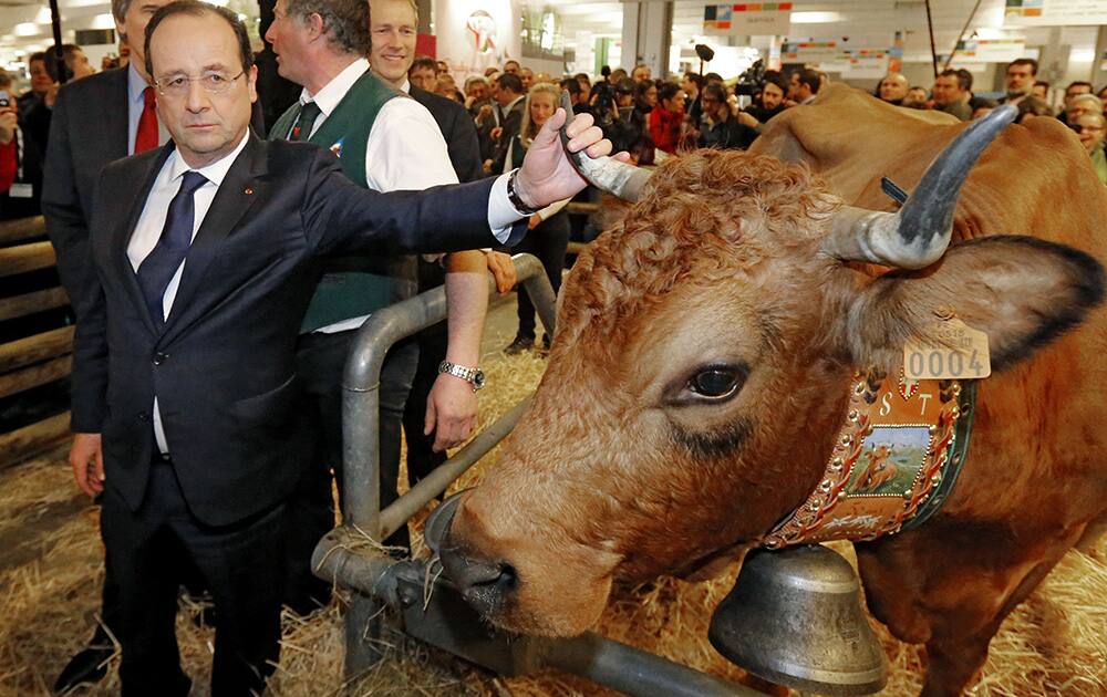 French President Francois Hollande holds the horn of a cow named `Bella 7 hold`, exhibited as he visits the Agriculture Fair in Paris.