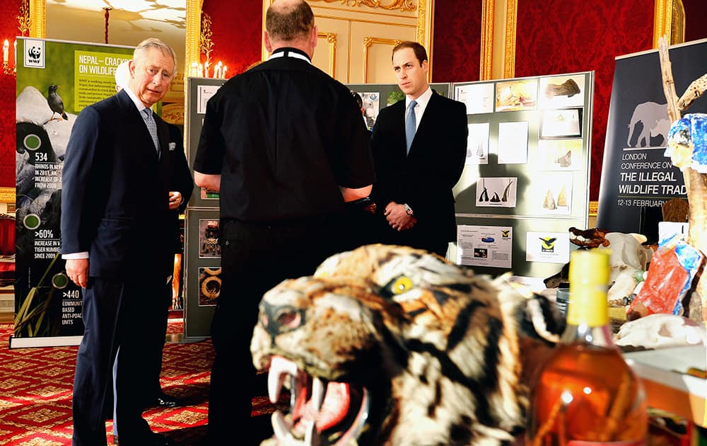An official talks to Britain`s Prince Charles and Prince William during a tour of an exhibition about wildlife poaching, prior to the Illegal Wildlife Trade Conference held in London.
