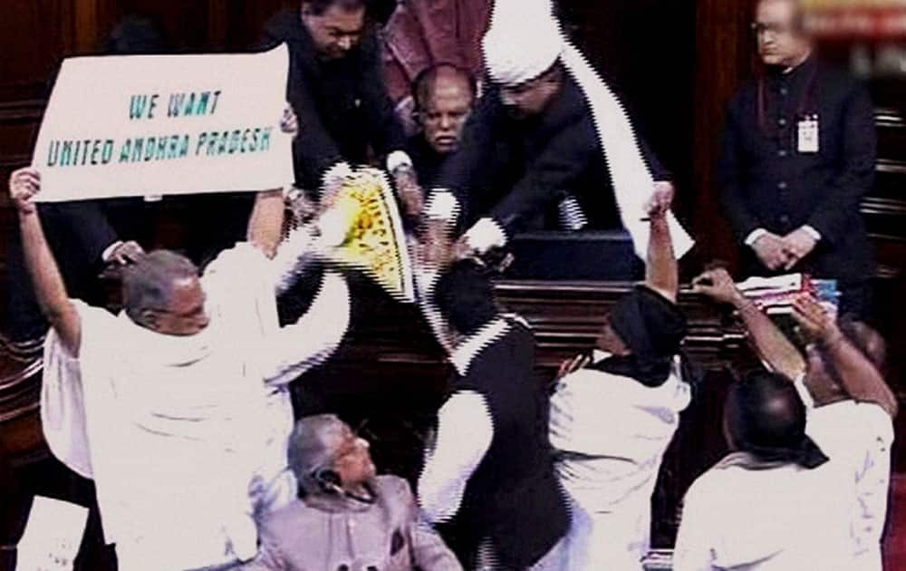 AP members protest for United Andhra Pradesh in the Rajya Sabha during the extended winter session in New Delhi.