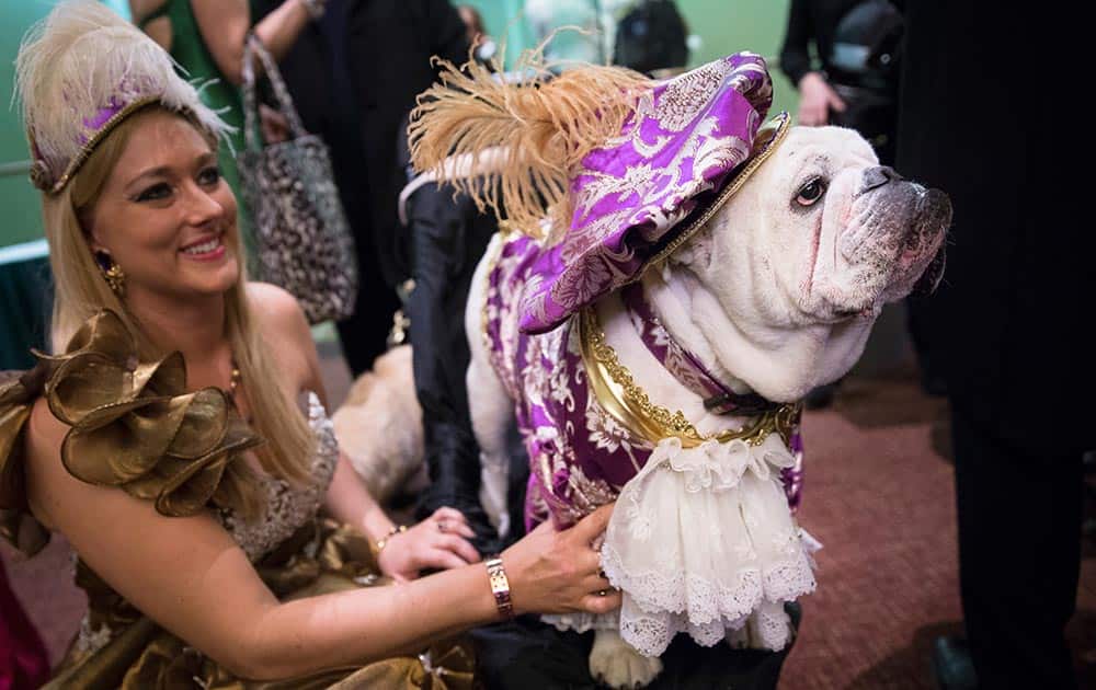 Champ the bulldog and his owner Neely Waring, of Coral Springs, Fla., attend the 2014 New York Pet Fashion Show at the Hotel Pennsylvania.