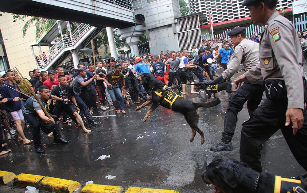 Indonesian Police officers from the K-9 Unit control mock protesters during a security drill for upcoming parliamentary elections in Jakarta.