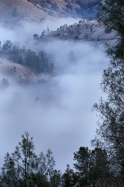 Low fog wraps around the trees above the Kern River in the canyon along Highway 178 after a cold night in the area a few miles east of Bakersfield, Calif.