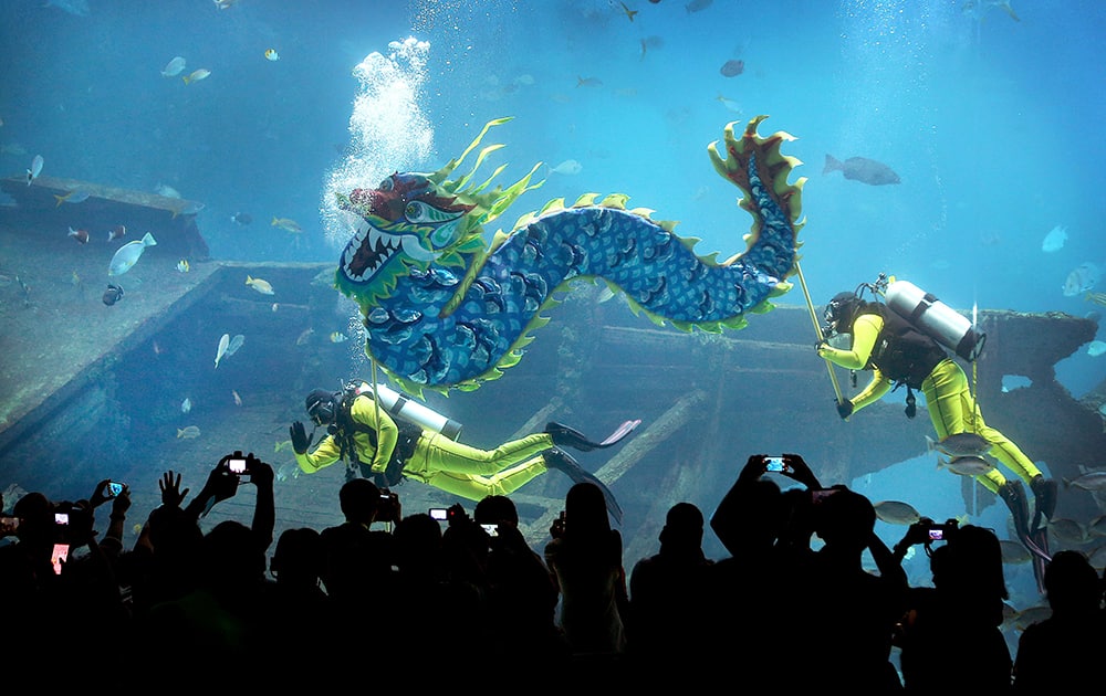 Divers carry a man-made dragon, as part of Chinese New Year dragon blessings to wish all their guests boundless energy in the Year of the Horse at the South East Asia Aquarium at Resorts World Sentosa in Singapore.