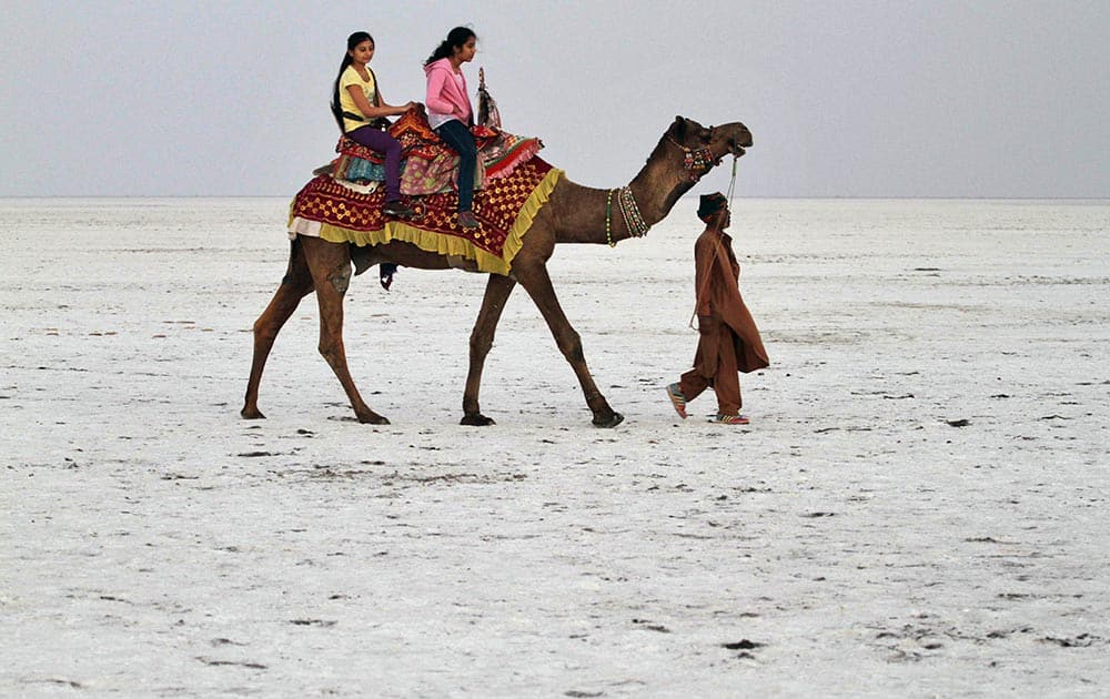 Tourists enjoy camel ride on white sand in the Rann of Kutch, a seasonal salt marsh located in the Thar Desert, about 500 kilometers (311 miles) from Ahmedabad.