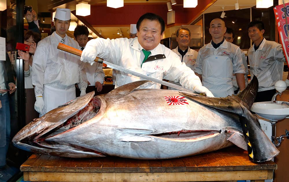 Sushi restauranteur Kiyoshi Kimura poses with a 507-pound (230-kilogram) bluefin tuna he bought at an auction before cutting it at his restaurant near Tsukiji fish market in Tokyo. Kimura paid 7.36 million yen (about $70,000) for the bluefin tuna in the year`s celebratory first auction, just one-twentieth of what he paid a year earlier despite signs the species is in serious decline.