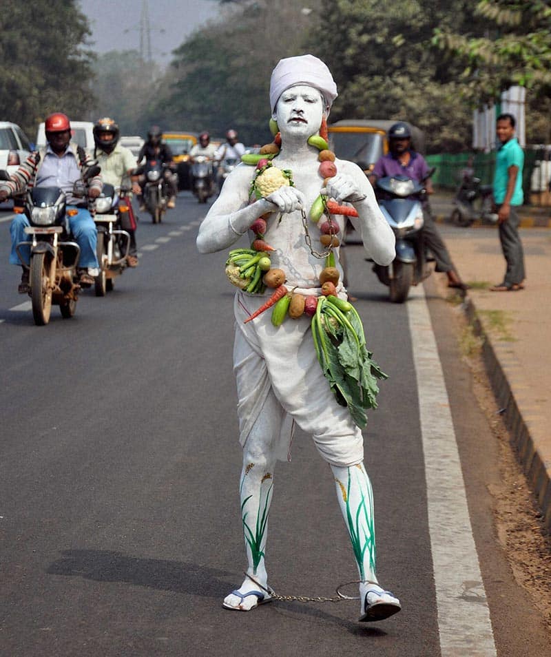 A volunteer with vegetable costume protests against police atrocity on farmers who were arrested while demonstrating in front of Odisha Chief Minister Naveen Patnaik`s car recently, in Bhubaneswar.