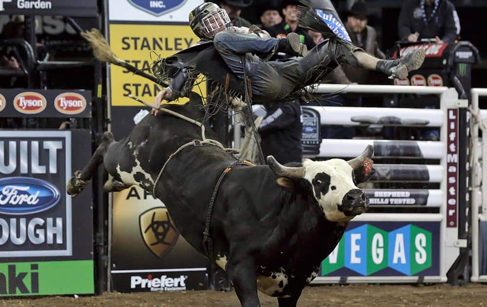 Reese Cates, from El Dorado, Ariz., rides Happy Trax in the Professional Bull Riders Buck Off, in New York`s Madison Square Garden.