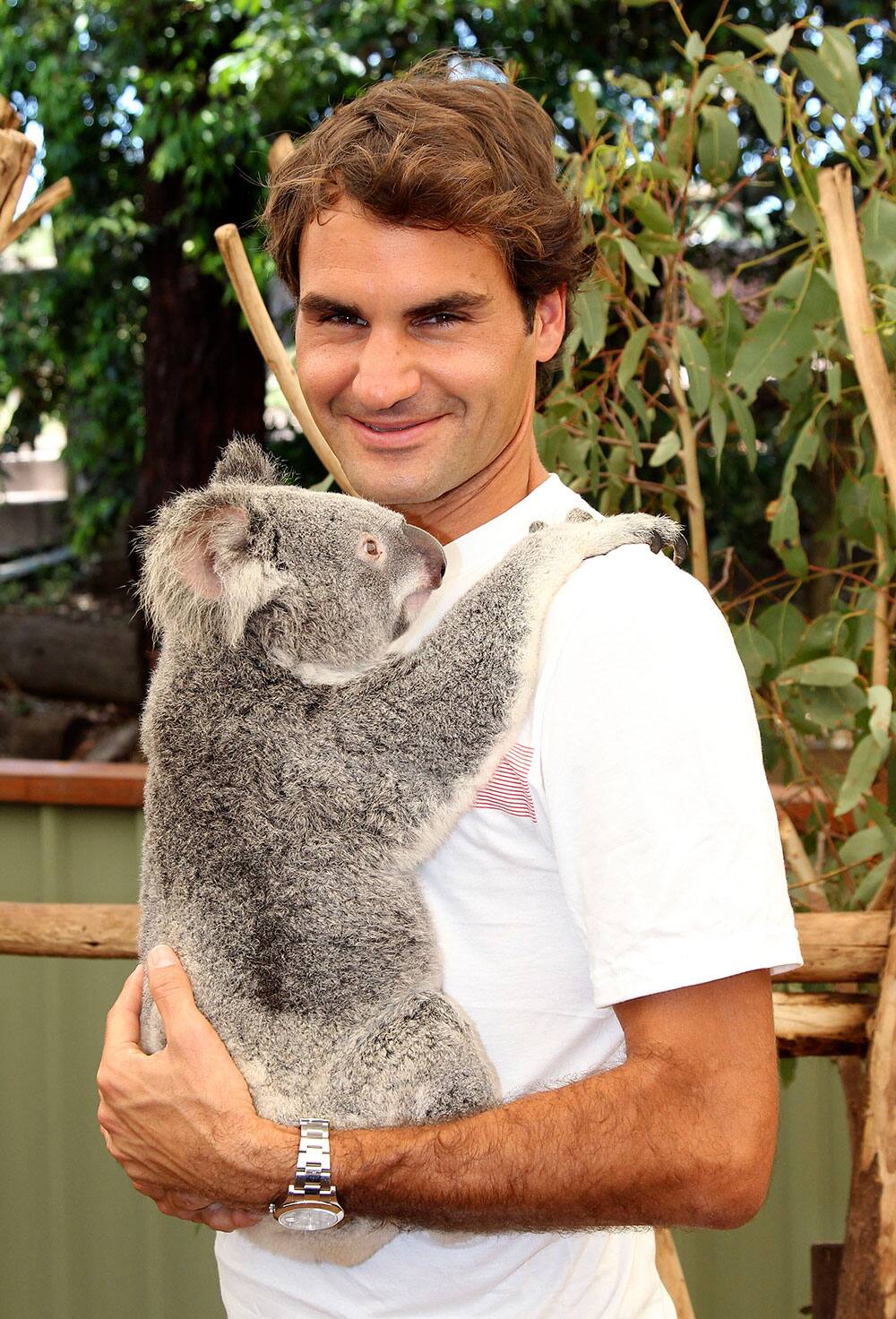 Roger Federer of Switzerland poses with a koala bear named Tinkerbell before the start of the Brisbane International tennis tournament in Brisbane, Australia.