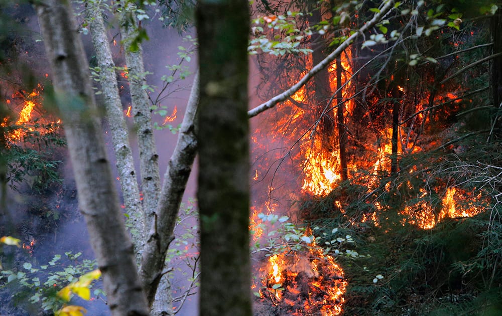 A fire burns the hillside in the Big Sur, Calif., region. More than 800 firefighters fought the unusual late fall wildfire that has destroyed more than a dozen homes and forced about 100 people to flee the forested mountains.