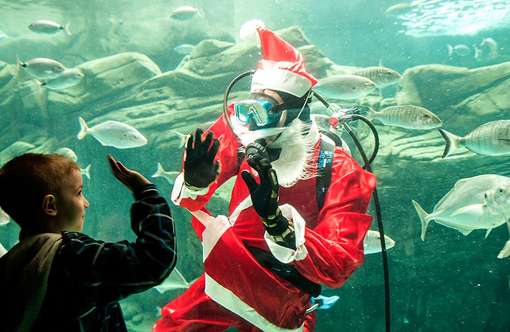 A diver dressed as Santa Claus waves at a child at the Creta Aquarium in the city of Iraklio, on the Greek island of Crete.