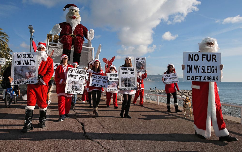 Activists dressed in Santa Claus costumes from the group Coalition to Abolish the Fur Trade demonstrate holding signs on the Promenade des Anglais in Nice, southern France.