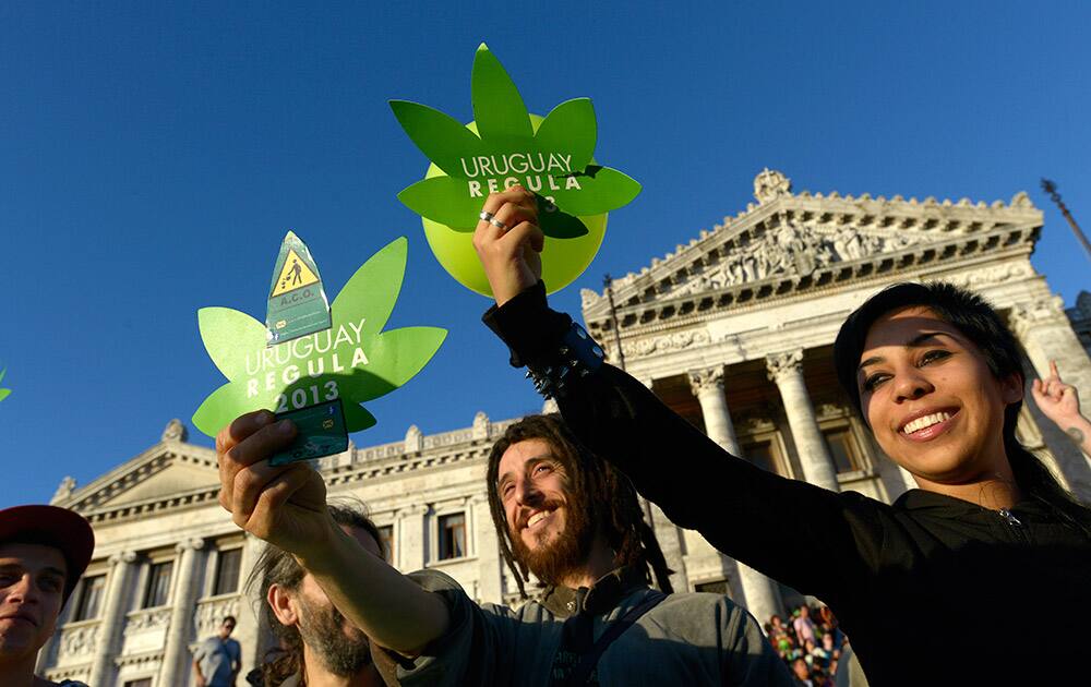 Activists gather in front of Uruguayan Congress as the Senate in support of the legalization of marijuana outside the Congress in Montevideo, Uruguay.