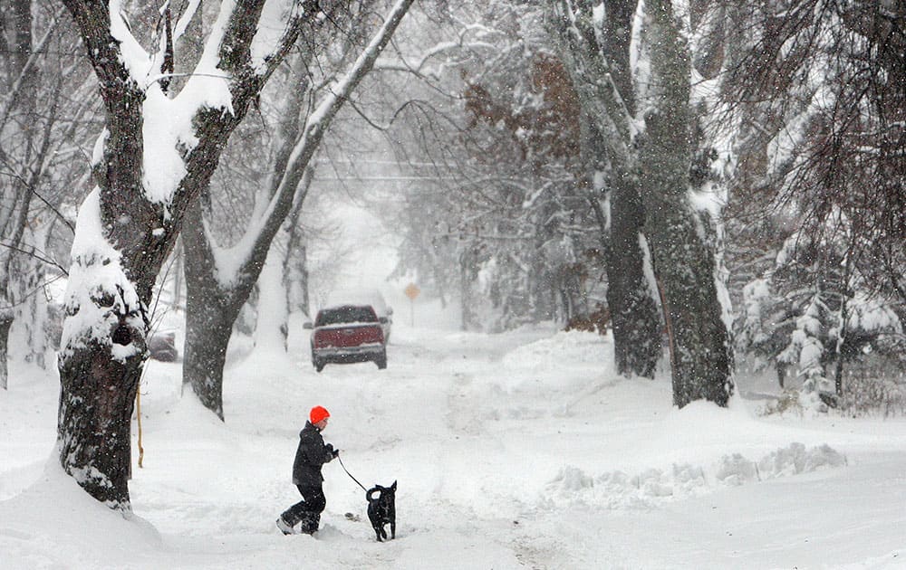 Zach Hansen, 12, of Duluth, walks his dog Charlie, a black lab-border collie mix, through a landscape steeped in snow.