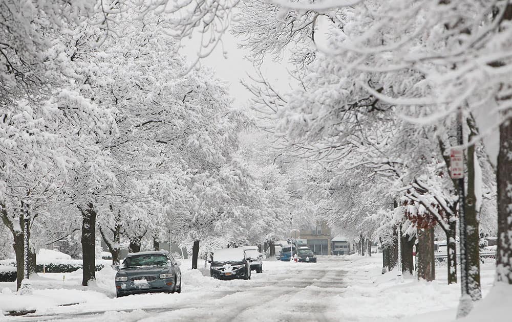 Last night`s snow blanket the area making it a winter wonderland. This is Winston Ave. in Buffalo, N.Y.