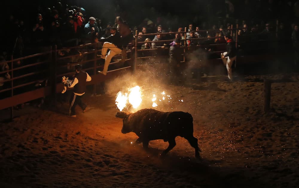 Revelers jump over the barricades as a fire bull chases them during the `Toro de Jubilo` Fire Bull Festival in Medinaceli, Spain.
